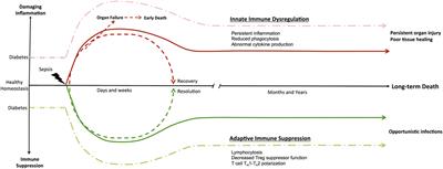 Diabetes and Sepsis: Risk, Recurrence, and Ruination